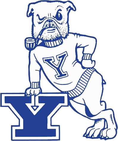 Yale Bulldogs 1972-1995 Primary Logo DIY iron on transfer (heat transfer)